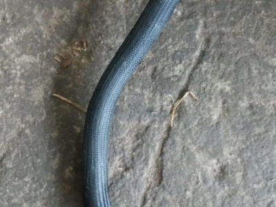 25952835 Патрубок расширительного бачка