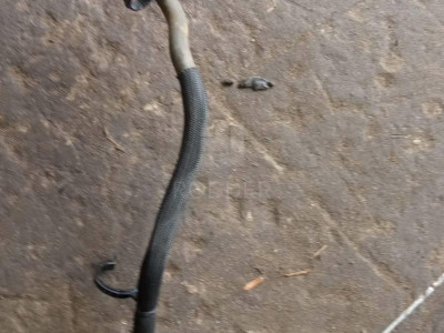 23233888 Трубка вакуумная