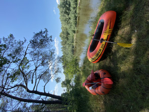 1834747-162636:57559 Ремень